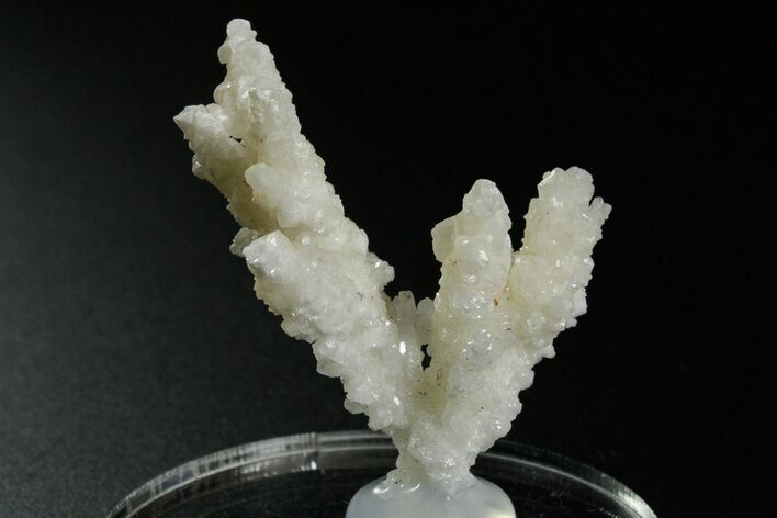 Intricate, Fluorescent Aragonite Formation - Nevada #349544